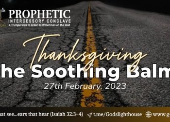 Thanksgiving: The Soothing Balm