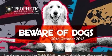 Go Deeper, Stay Hungry