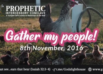 #102 | Trailblazers: The Women of Old