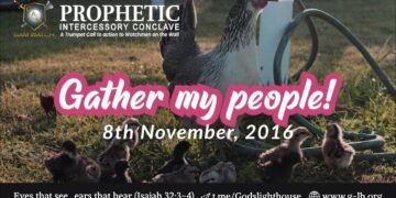 #102 | Trailblazers: The Women of Old