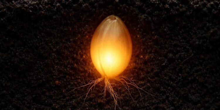 Two Births and the Seed of Life