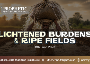 #272 | Lightened Burdens and Ripe Fields