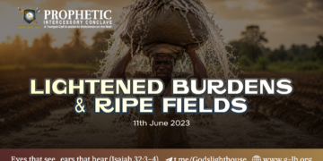 #272 | Lightened Burdens and Ripe Fields
