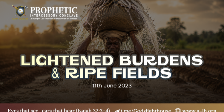 #272 | Lightened Burdens and Ripe Fields