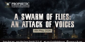 #278 | A Swarm of Flies: An Attack of Voices